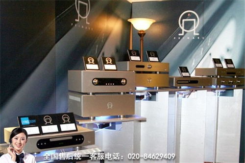 龍湖丹麥Davone CD機(jī)及樂器維修全國24小時服務(wù)