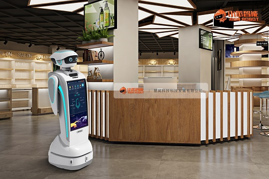 商場無人化 智能機(jī)器人如何挑起營銷與銷售重任